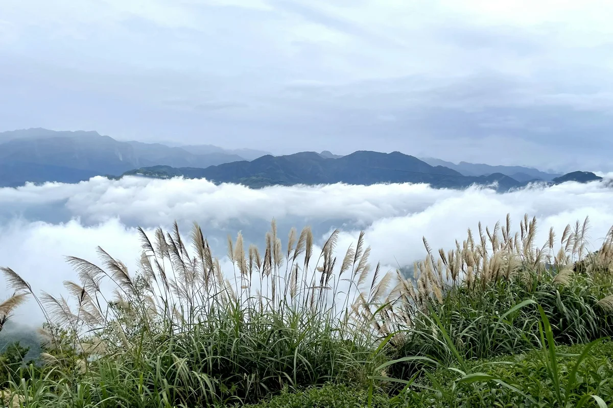 Tour trải nghiệm